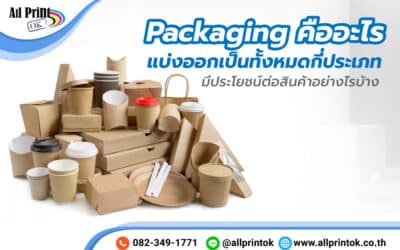 Packaging คืออะไร แบ่งออกเป็นทั้งหมดกี่ประเภท มีประโยชน์ต่อสินค้าอย่างไรบ้าง