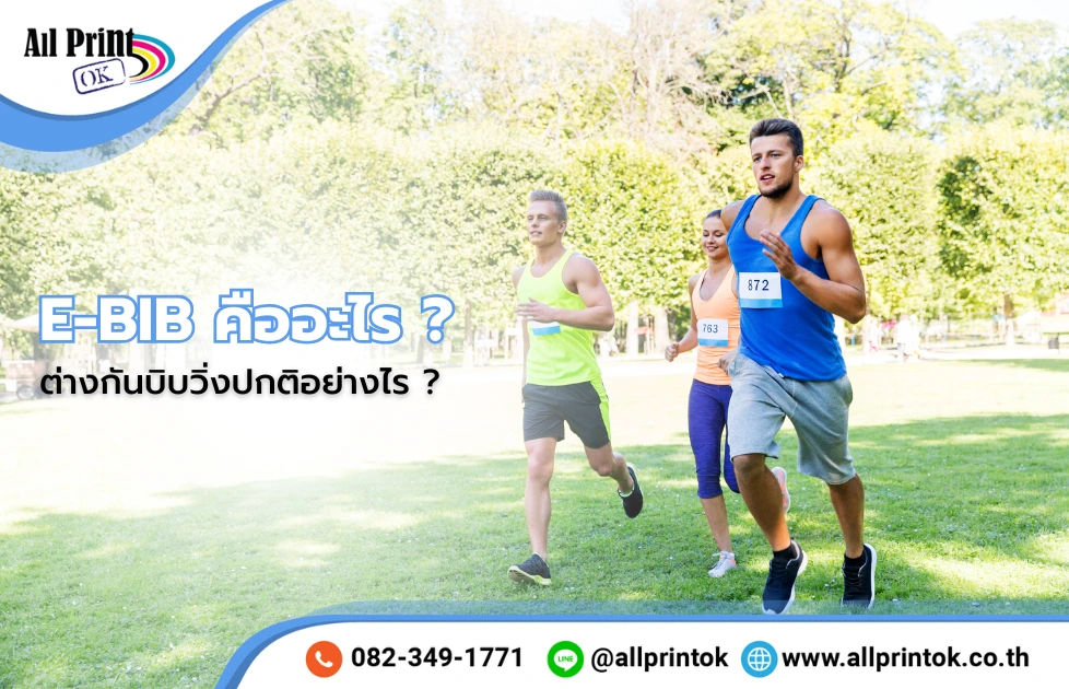 E-BIB คืออะไร